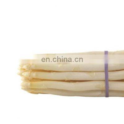 White Asparagus