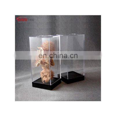 acrylic doll display box acrylic gift display stands