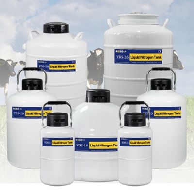 10L semen tank YDS-10 liquid nitrogen container price