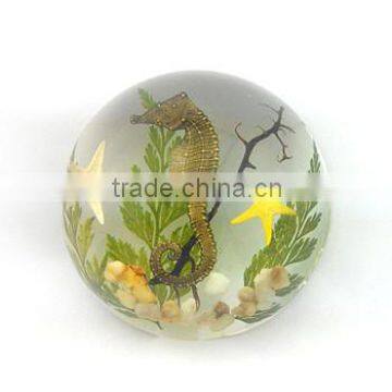 Colorful sea horse semicircle resin desk decoration