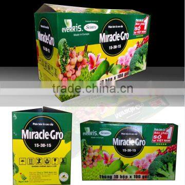 Carton Paper Box for Fruits