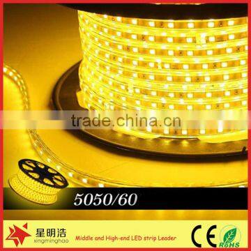 chinese factories price wholesales high quanlity 110/240V flexible LED light strip decoration clothes stores