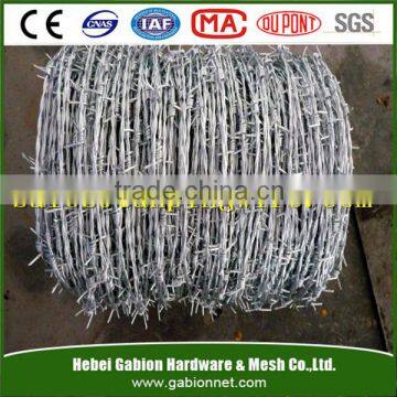 Electro and Hot dipped hot dipped barbe wire