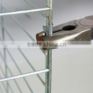 Export Standards Breeding Pigeon Cage