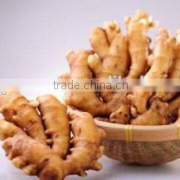 New crop dehydrated ginger with high quality