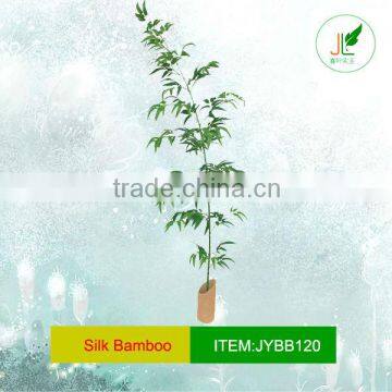 Single bamboo plant in bamboo planter