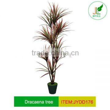 Plastic dracaena tree/plant at red or green colors