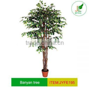 Beautiful Artificial benjamin ficus tree