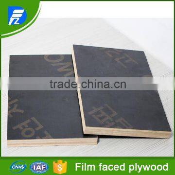 High Quality Plywood Construction Formwork photo-4
