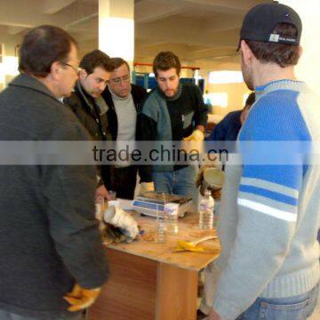 2013 PU China PU Foaming Machine/sponge Machine/foam Machine