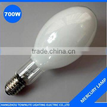 700w mercury vapor light