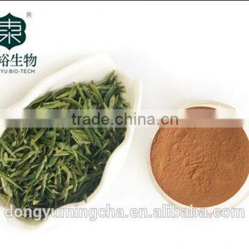 High Quality Green Tea Polyphenols at Lowest Price for Sliming Purpose photo-3