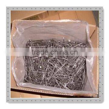 Common Wire Nail Factory China Supplier Pallet Used Pallet Nails photo-4