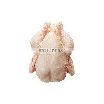 FRESH FROZEN CHICKEN photo-4