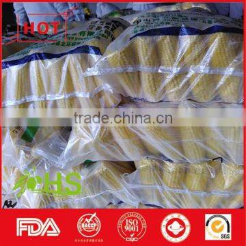 Non Gmo Frozen Yellow Corn Market Price photo-5