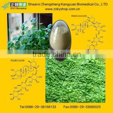 Centella asiatica Extract Powder with Asiaticoside/Madecassoside/Total Triterpenoid glycosides