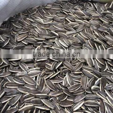 Inner Mongolia Sunflower seeds 5009