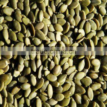 Pumpkin Seeds Pumpkin Kernels Sunflower Seeds Sunflower Kernels Polly Seeds photo-2