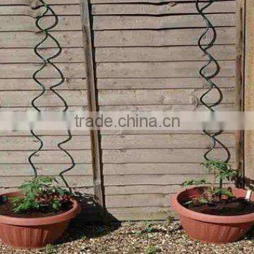 tomato wire support