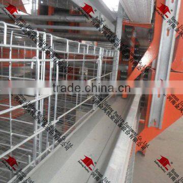 Types of Pullet Rearing Chicken Cage