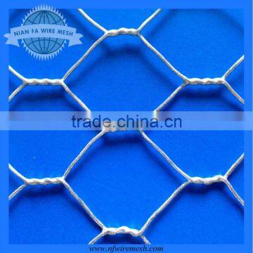 Electro Galvanized Hexagonal Mesh (Guangzhou Manufacturer)