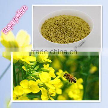 natural pure rape bee pollen/rape pollen/rape flower pollen from Qinghai Province in China