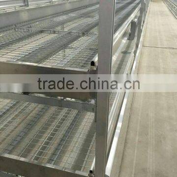 6061T5 Aluminum Extrusion Profile for Planting Frame photo-5