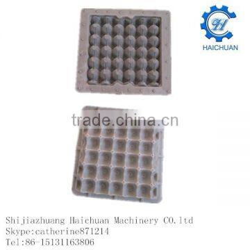 Apple Fruit Egg Tray Molds photo-3