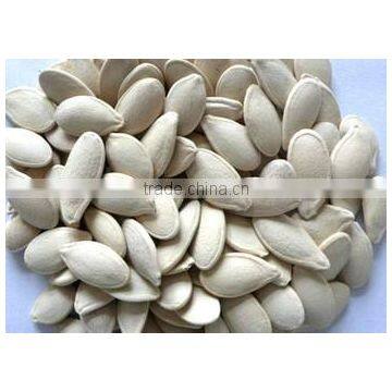 CCD Pumpkin Seeds Color Sorter Machine With Most Advanced Light Source Technology photo-3