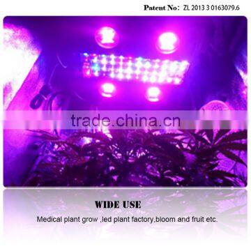 Reflector Led Grow Light Full Spectrum,Cxb 3590 Led Grow Light photo-5
