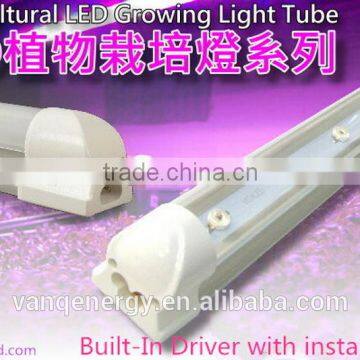 Wifi Controller LED Grow Light 10w T8 For Greenhouse Project New Technolgy Smart LED Lighting