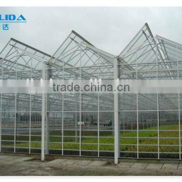 Multi-span Glass Agricultural Greenhouses For Sale/Used For Vegetable photo-6
