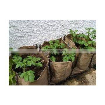 Non Woven Fabric Tomato Grow Bag by Non Woven Grow Bag photo-2