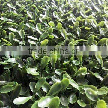 Artificial Boxwood Grass Mat/Hedge Outdoor UV Protection Artificial Boxwood Hedge Vertical Garden photo-5
