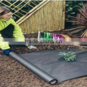 pp Woven Plastic Mulch Weed Mat photo-2