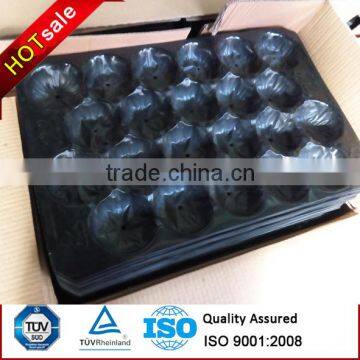 France Market Popular Wholesale 39x59cm Polypropylene Fruit Alveoles Tray For Apples photo-2