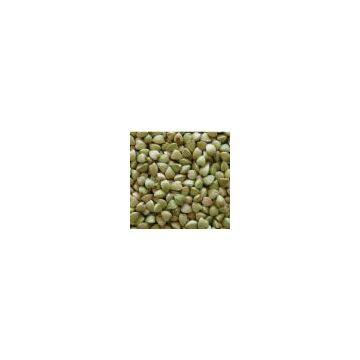 raw buckwheat kernels