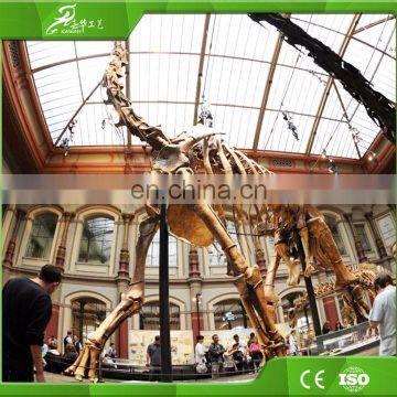 KAWAH OEM Best Quality Artificial Dinosaur Skeleton Made In China photo-6