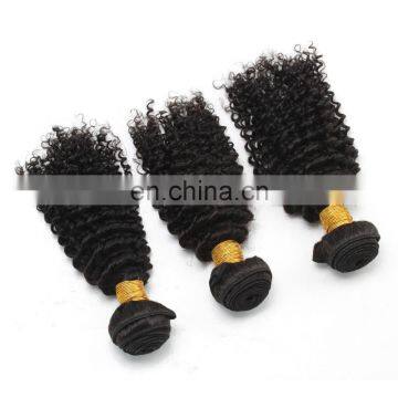 8A Virgin Hair Kinky Curly 100% Natural Original Brazilian Human Hair for Black Women photo-4