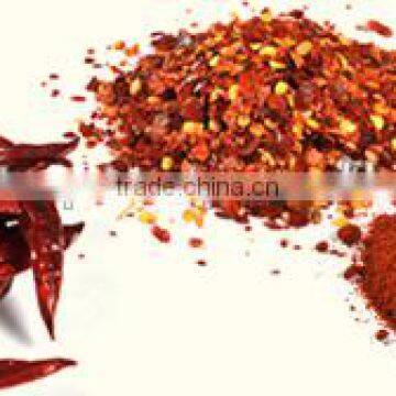 Vietnam Best Price Hot Red Dry Chili Peppers photo-3