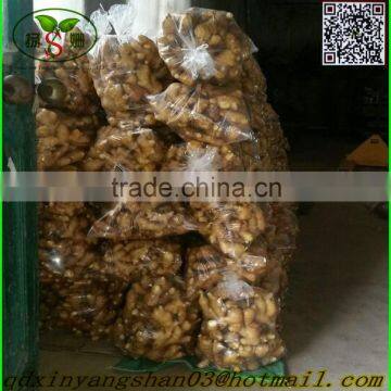 Fresh Ginger for China/Fresh Ginger photo-3