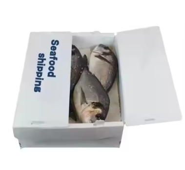 Emballage en feuille creuse en PP isolée – Solutions durables pour les fruits de mer frais photo-2