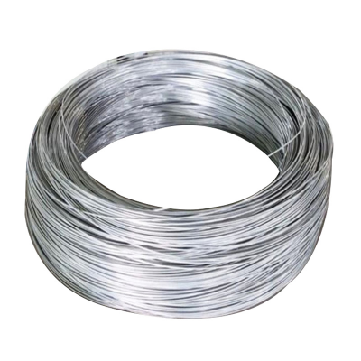 Galvanized High Tensile Steel Wire Mesh Annealed Spring Steel Wire photo-5