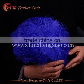 ChinaHX Factory Wholesale Selected Prime Dyed 25-30cm Ostrich Feathers