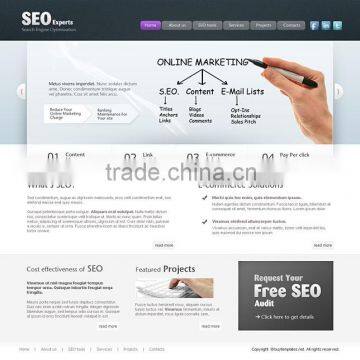 SEO services and SMO services