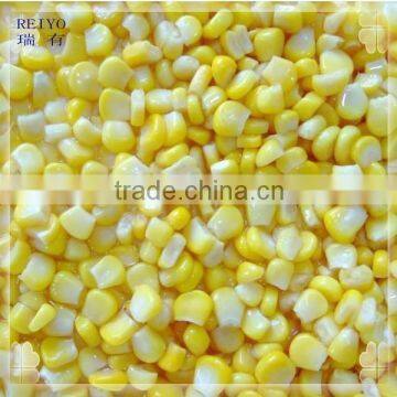 canned kernel sweet corn