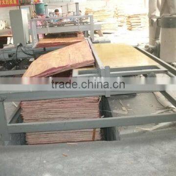 Plywood assemble line / plywood lay-up line