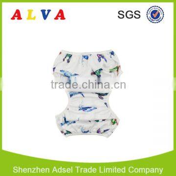 Alva New Pattern Turtle Design Swim Diaper Swim Trunks Factory in China photo-3