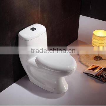 Dennis 2039 Main Products Saudi Ceramic Vitreous Toilet photo-6
