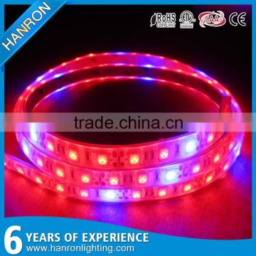 Epistar SMD2835 leds LED rope plant grow light strip lighting Red : Blue 3:1 4:1 5:1 6:1 7:1 9:1 LED Grow Light strip 12V DC                        
                                                                                Supplier's Choice